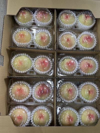 画像2: 産地直送 岡山白桃 2玉パック入り 10パック1箱 お友達と 共同購入 にいかがですか? 品種 おまかせ 旬
