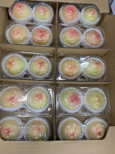 画像2: 産地直送 岡山白桃 2玉パック入り １０パック1箱 お友達と 共同購入 にいかがですか？  品種 おまかせ 旬  (2)
