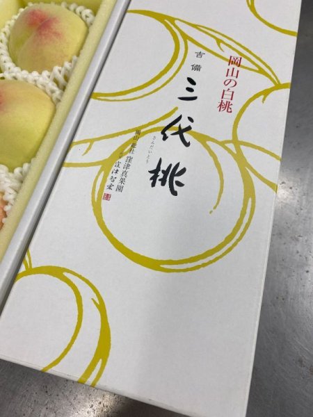 画像4: 《 予約受付中 》 産地直送 岡山県 産 三代桃 清水白桃 贈答用 ロイヤル ３玉 入り 7月下旬発送  (4)