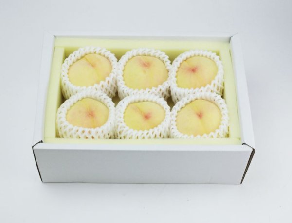 画像4: 《 予約受付中 》 産地直送 岡山 県産 三代桃  旬の白桃 贈答用 ギフト 2kg 箱 おすすめ 品種！ 甘い！ しっかりとした甘さ！ ジューシー！） (4)