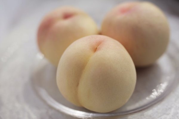 画像3: 《 予約受付中 》 産地直送 岡山 県産 三代桃  旬の白桃 贈答用 ギフト ３玉入り箱 おすすめ 品種！ 甘い！ しっかりとした甘さ！ ジューシー！ (3)