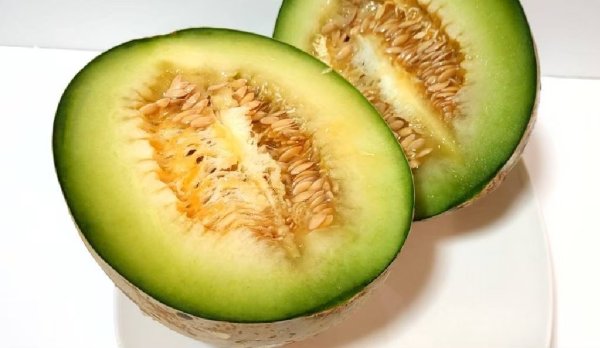 画像2: クールボジャメロン　希少なプリンスメロン　10kg箱（7〜8玉入り） (2)