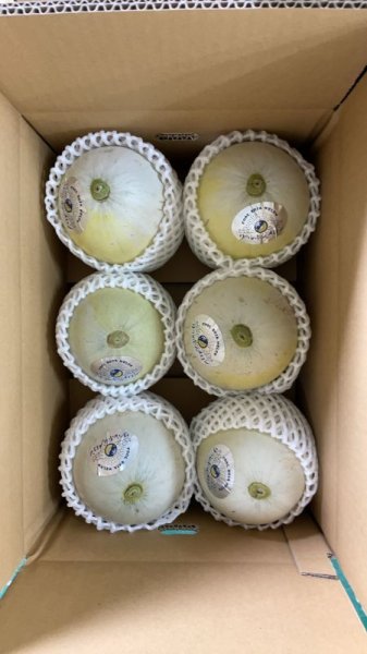 画像3: クールボジャメロン　希少なプリンスメロン　10kg箱（7〜8玉入り） (3)