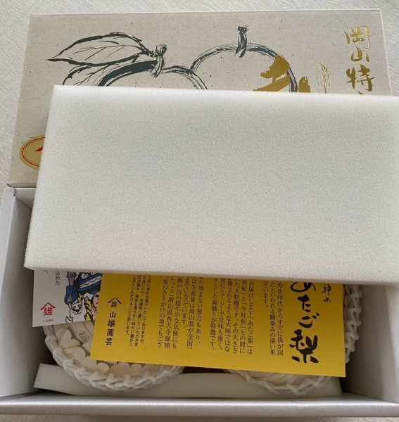 画像3: ≪予約販売≫　岡山県産　愛宕梨　超巨大　２玉箱　秀品　贈答用 (3)