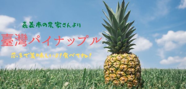 画像6: シャインマスカット オーダー フルーツ ご予算 など相談の上で、決めたい方はこちらを選択下さい。 (6)