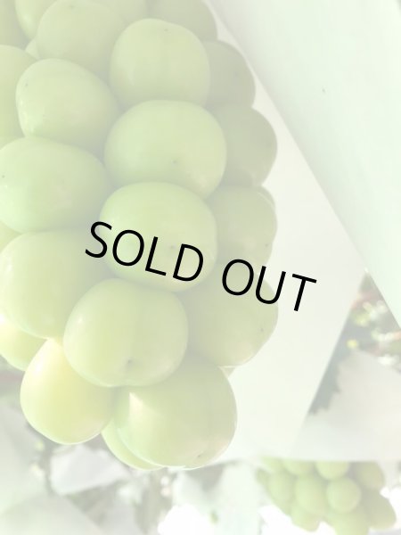 画像2: ≪予約販売≫お薦め農家さんの贅沢に2種類をたっぷりと味わうセット、ピオーネ・シャインマスカット2kg箱 (2)