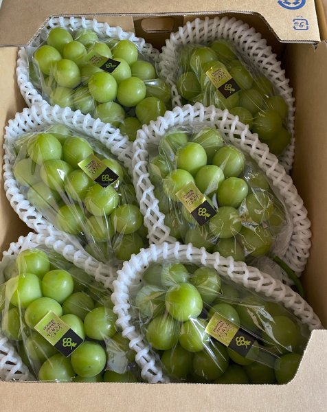 画像1: 《予約受付中》 産地直送 岡山産 ぶどう シャインマスカット 5kg 箱入り （6〜8房） 農家直送 (1)