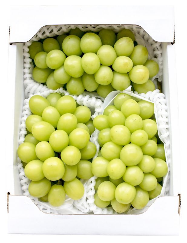 ≪露地もの!プレミアム!≫最高級品のシャインマスカット2kg箱(大房3房くらい) 甘くておいしい大満足